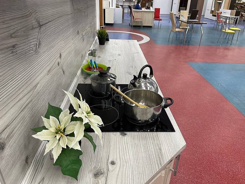 Сосна бискайская (2058М)