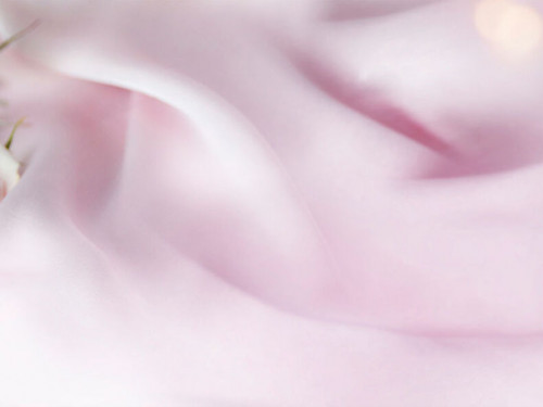 Глянцевая Панель SP 229 Глянцевая Панель SP 229