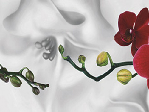 Глянцевая Панель M 26