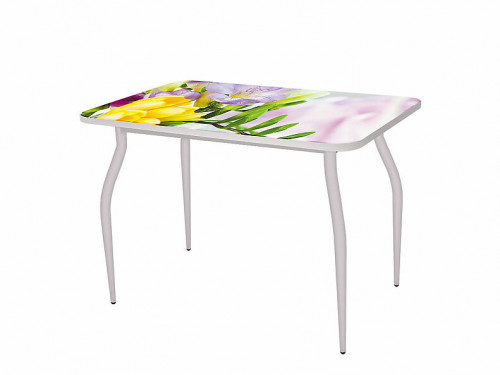 Стол цельносварной "Бриз" Столешница (B1) Прямоугольник Нераздвижной Фотопечать