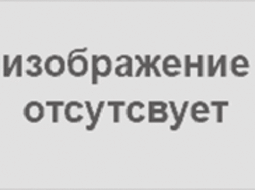 Газ-лифт 100N (10кг.)